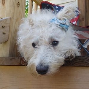 Meet your Posher, Sophia